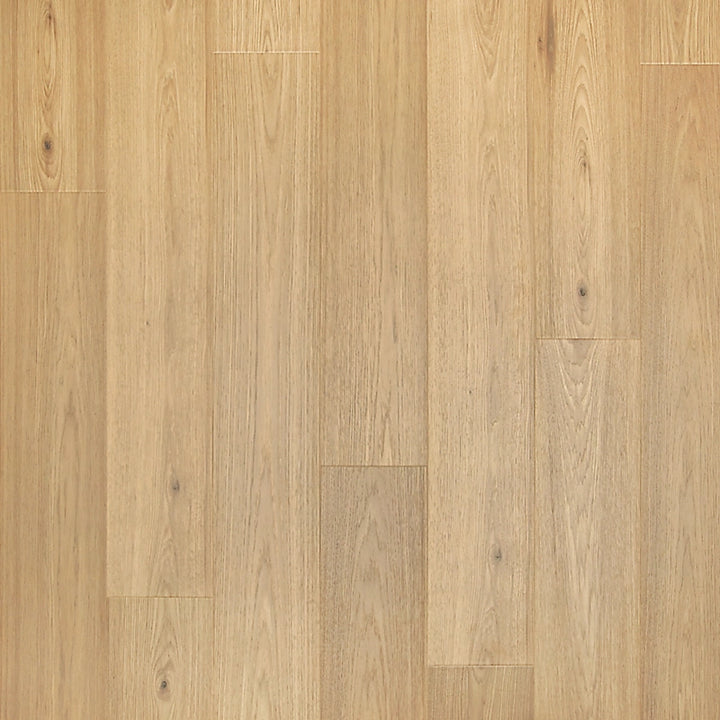 PureTech Premier   Serie  (DAT)