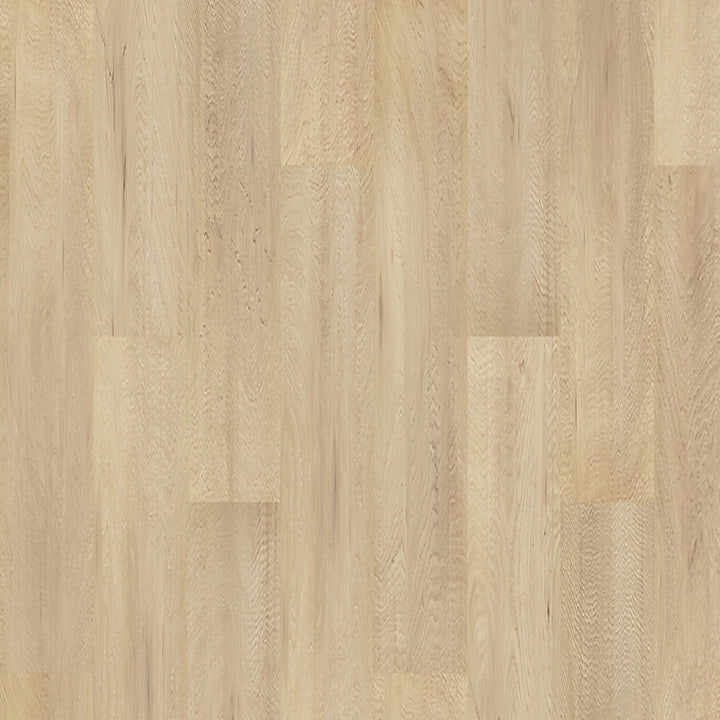 PureTech Plus    Serie  (DAT)