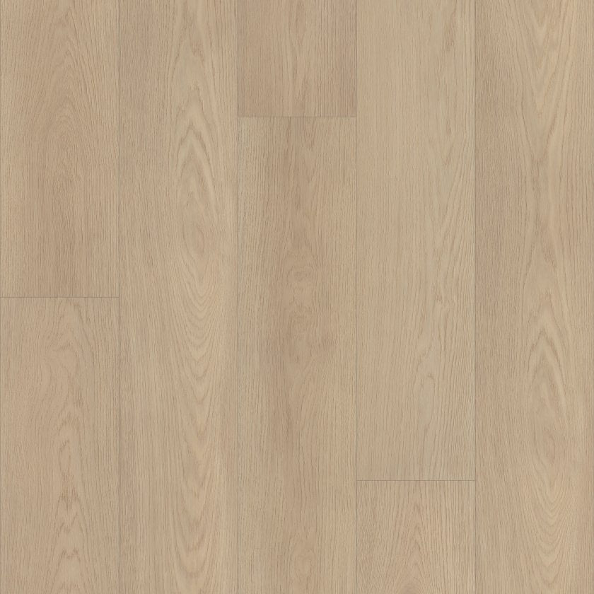Shawfloors      Ascent Nb     Series  (Shaw)