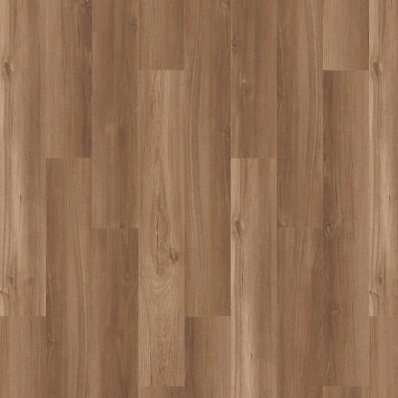 SolidTech Essentials   Serie  (DAT)