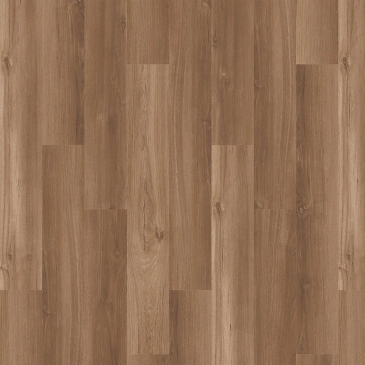 SolidTech Essentials   Serie  (DAT)