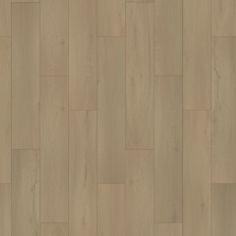 SolidTech Essentials   Serie  (DAT)