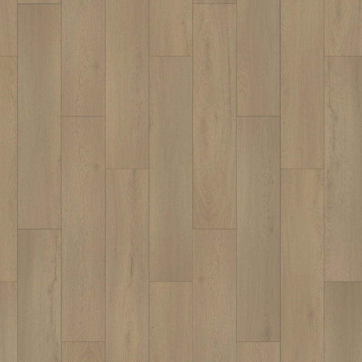 SolidTech Essentials   Serie  (DAT)