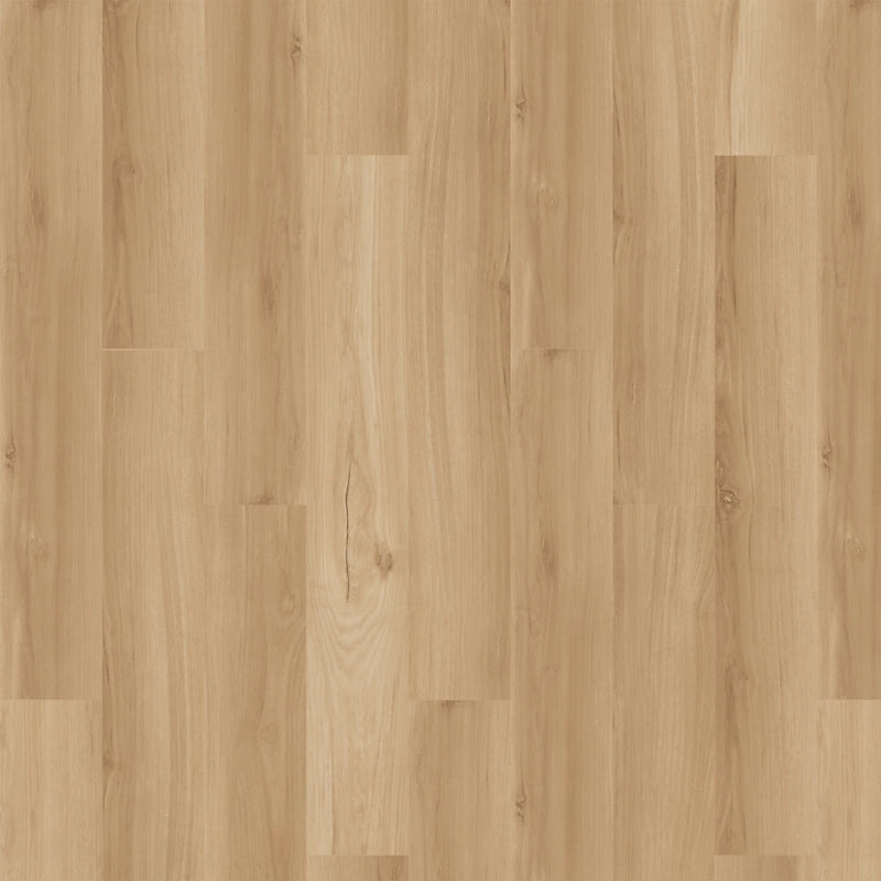 SolidTech Essentials   Serie  (DAT)