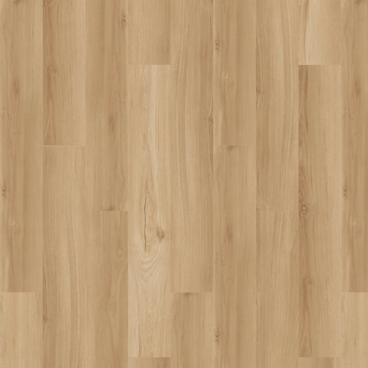 SolidTech Essentials   Serie  (DAT)