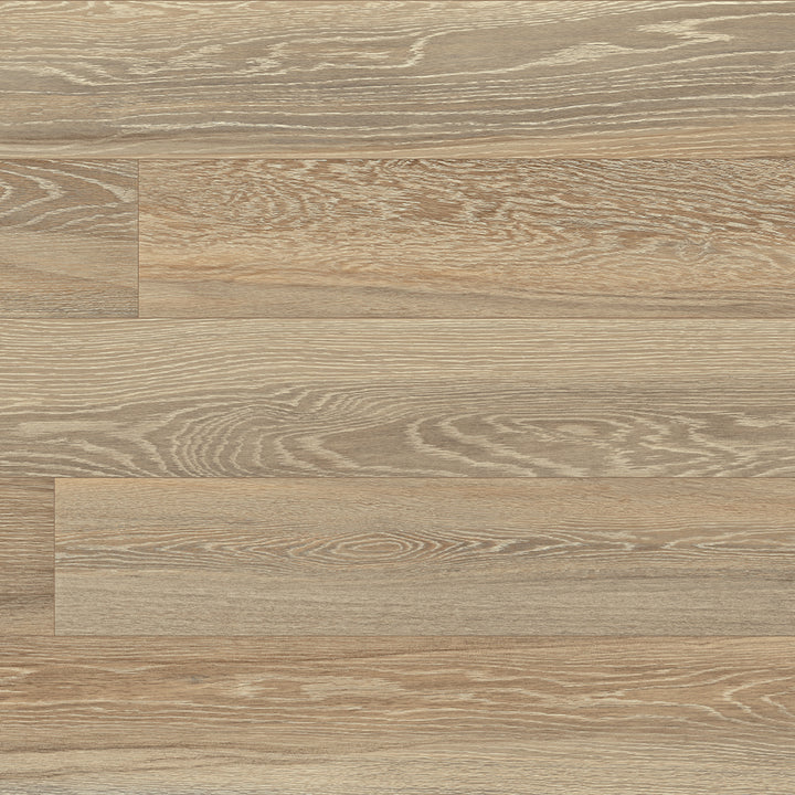 The Tile Store Porcelain Tile Series