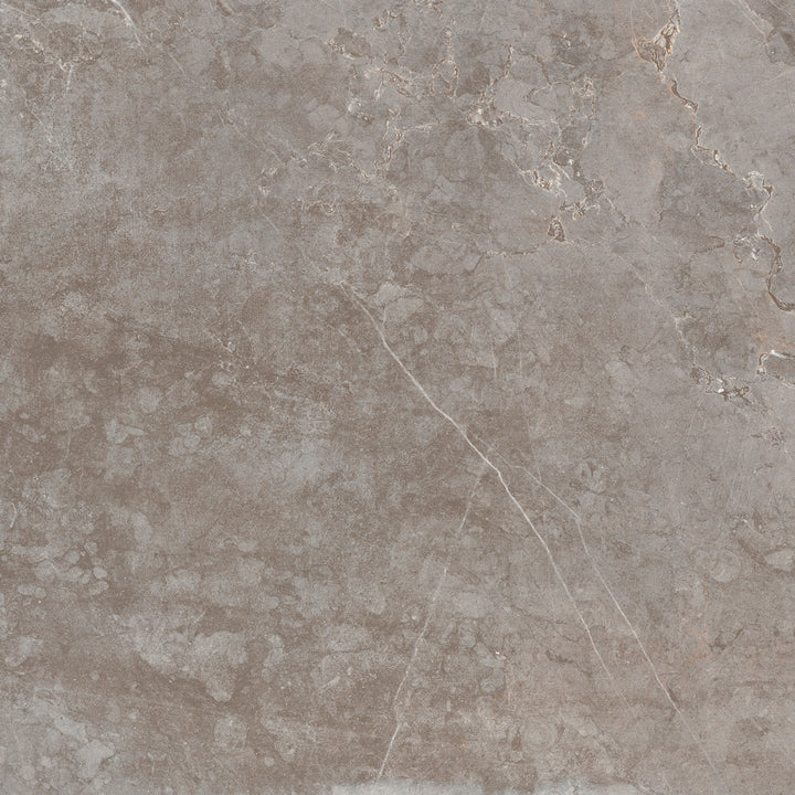 The Tile Store Porcelain Tile  Series