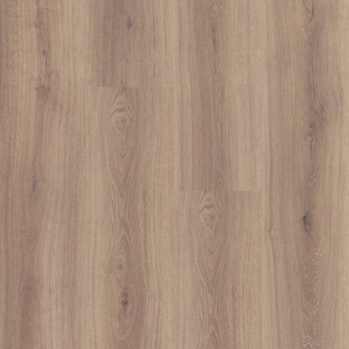 Shawfloors    Briard    Series  (Shaw)