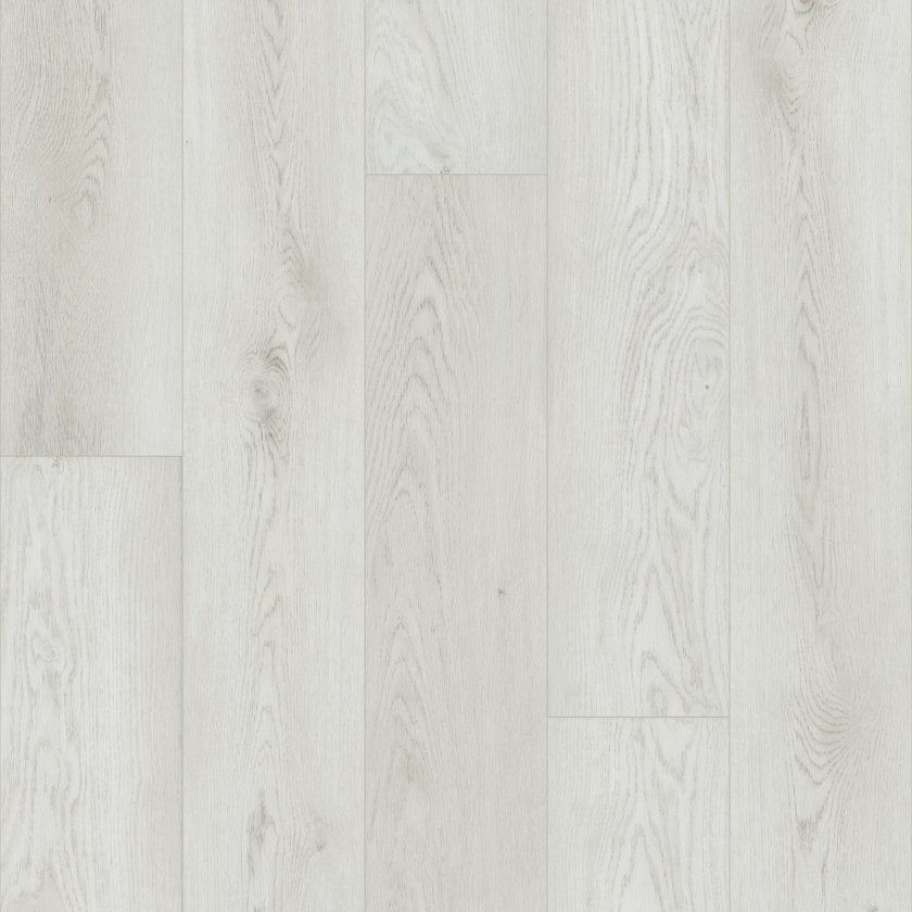 Shawfloors    Paladin Plus    Series  (Shaw)