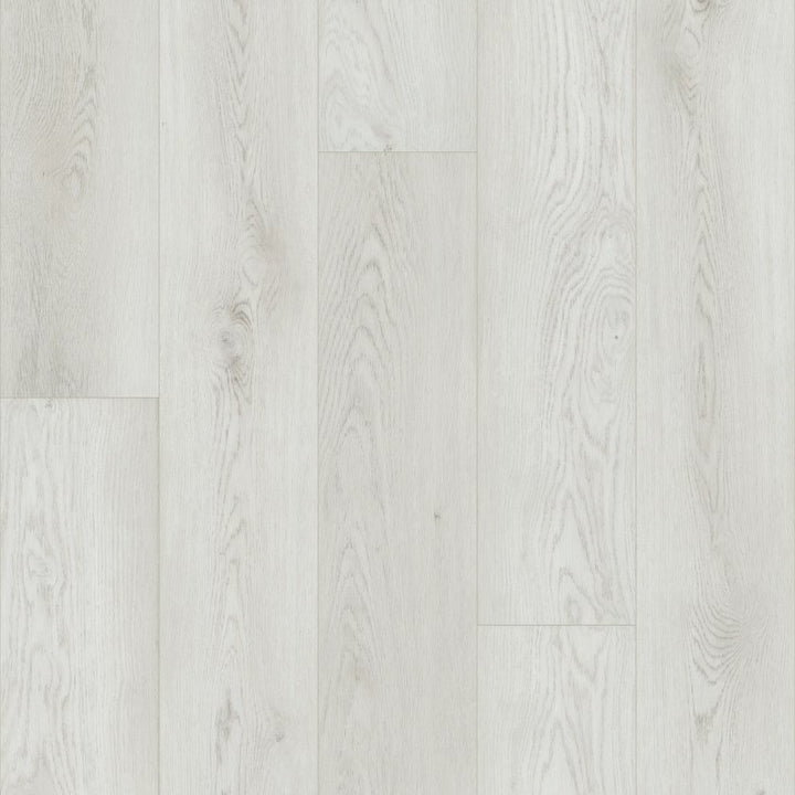 Shawfloors    Paladin Plus    Series  (Shaw)