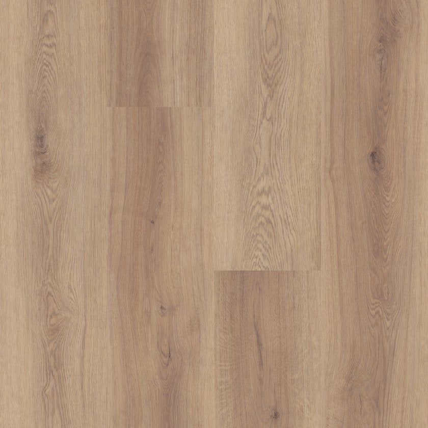 Shawfloors    Briard    Series  (Shaw)