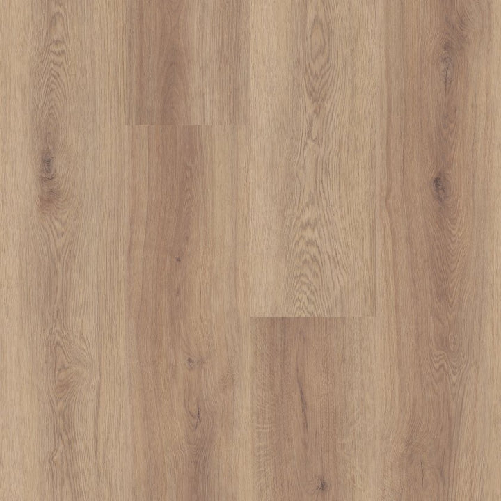 Shawfloors    Briard    Series  (Shaw)