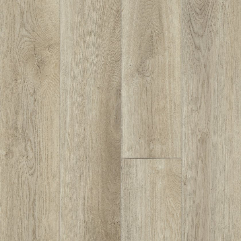 Shawfloors      Distinction Plus       Series  (Shaw)