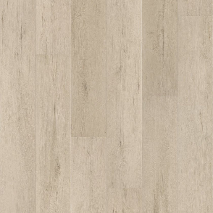 Shawfloors    Pantheon Hd+ Natural Bevel    Series  (Shaw)