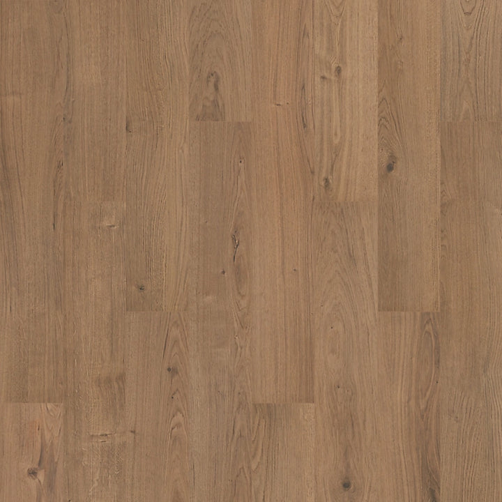 SolidTech R Plus   Serie  (DAT)