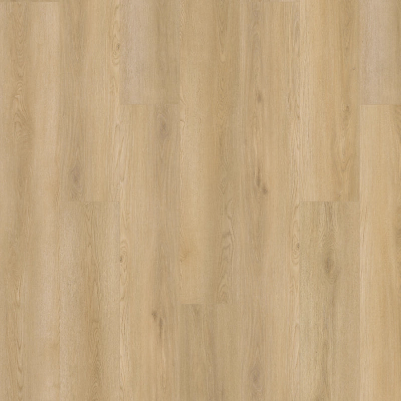 SolidTech Plus   Serie  (DAT)