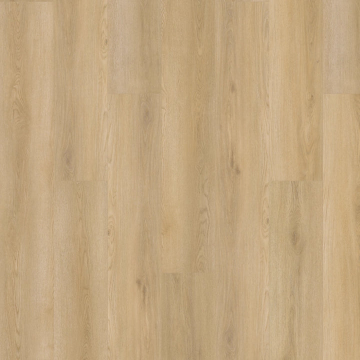 SolidTech Plus   Serie  (DAT)