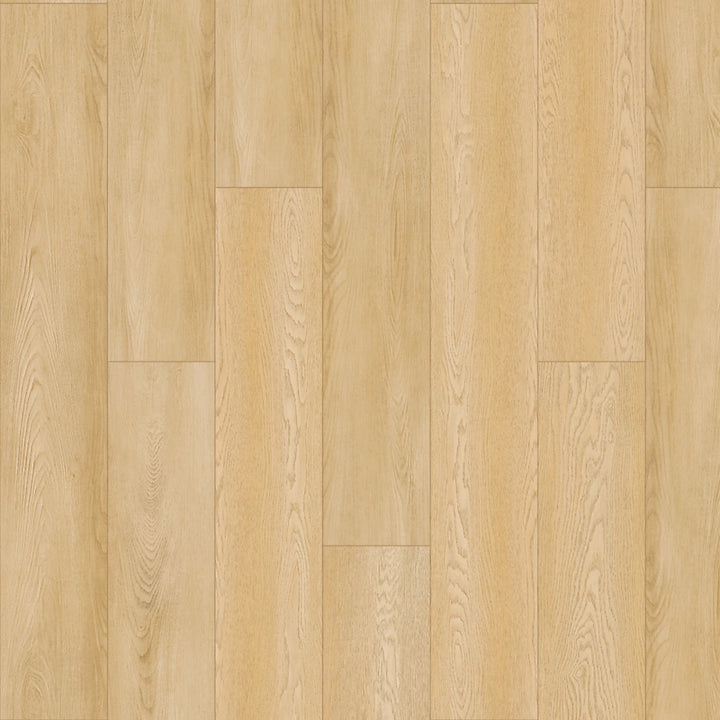SolidTech Plus   Serie  (DAT)