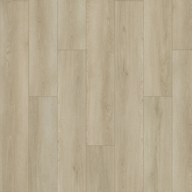 SolidTech Plus   Serie  (DAT)