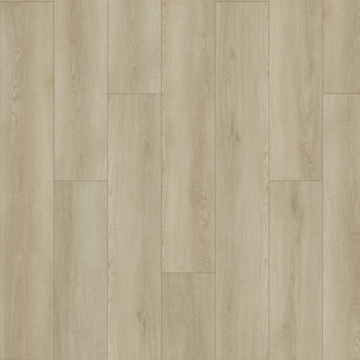 SolidTech Plus   Serie  (DAT)