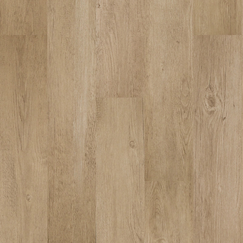 SolidTech Select   Serie  (DAT)