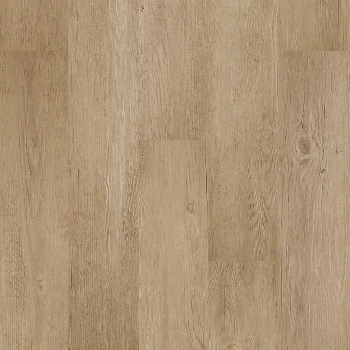 SolidTech Select   Serie  (DAT)