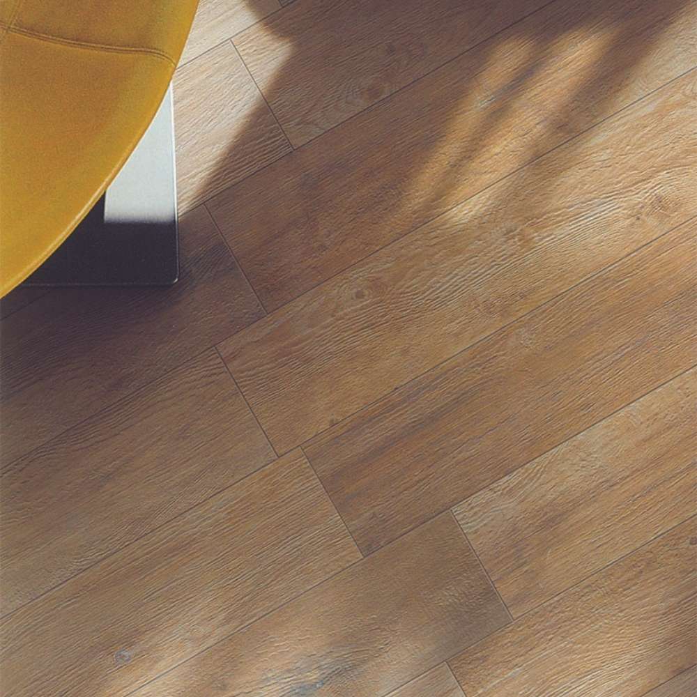 Albero 6 Series ®    (CTS)