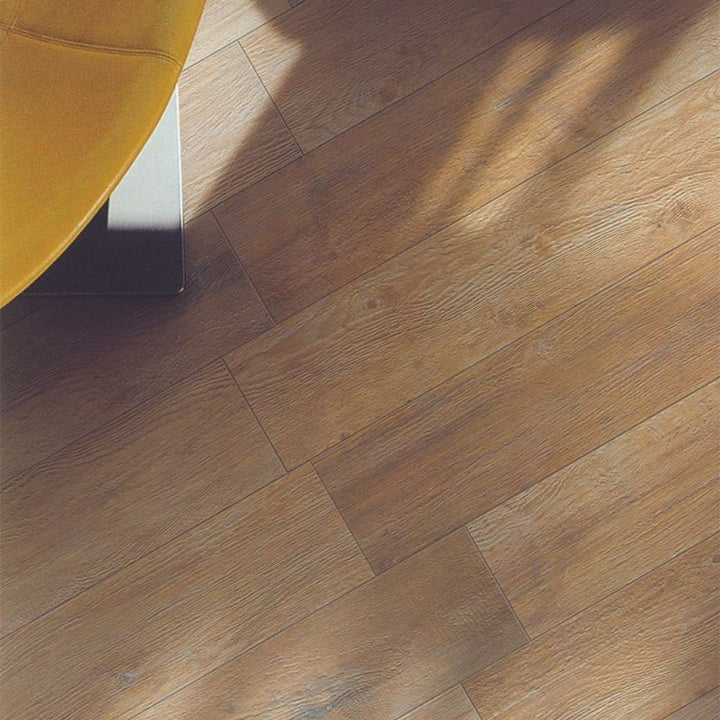 Albero 6 Series ®    (CTS)