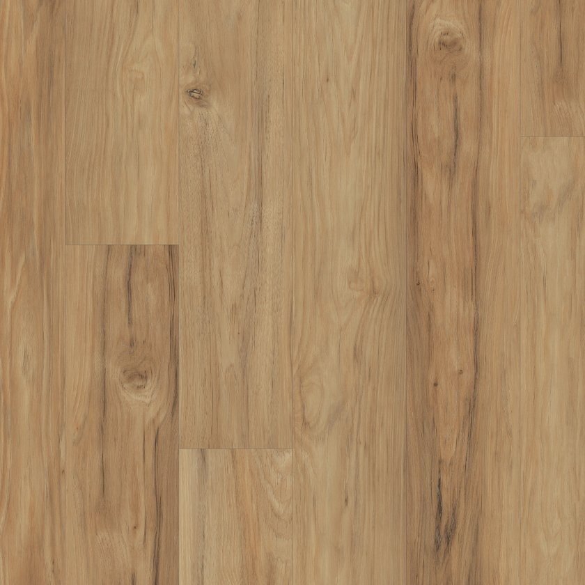 Shawfloors    Ignite    Series  (Shaw)