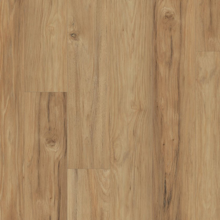 Shawfloors    Ignite    Series  (Shaw)