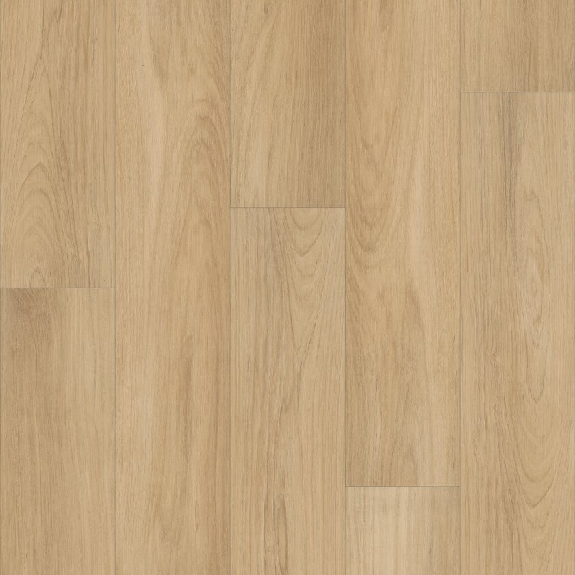 Shawfloors      Distinction Plus       Series  (Shaw)
