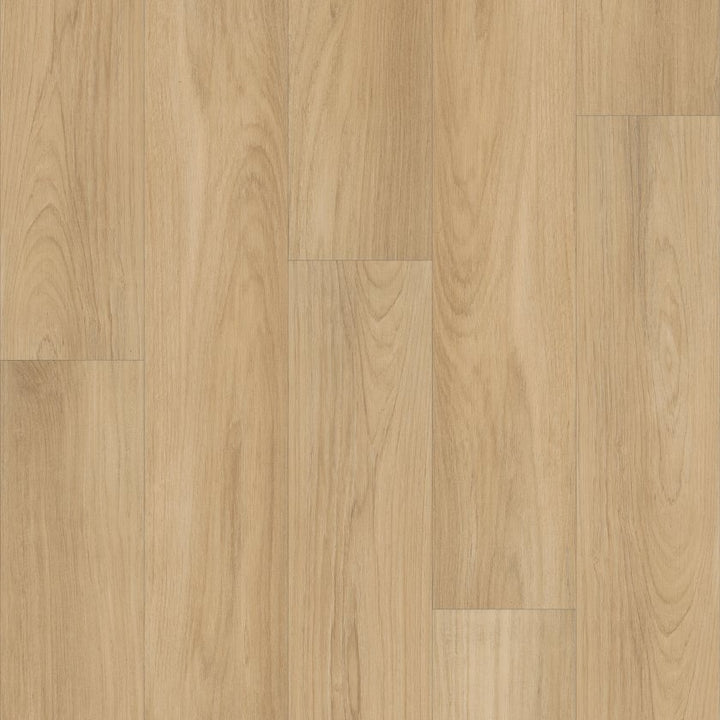 Shawfloors      Distinction Plus       Series  (Shaw)
