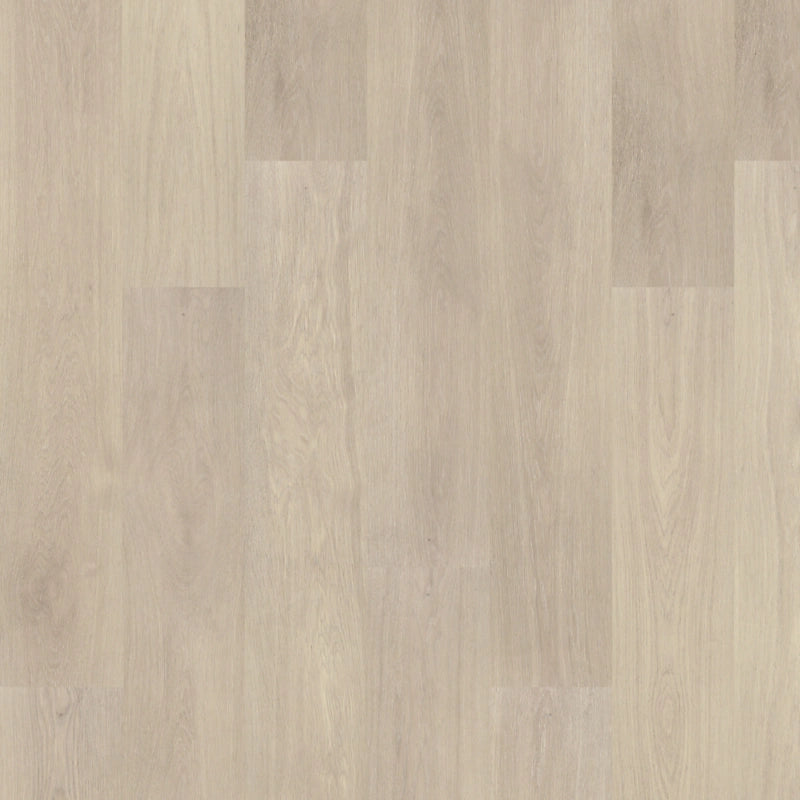 PureTech Premier   Serie  (DAT)
