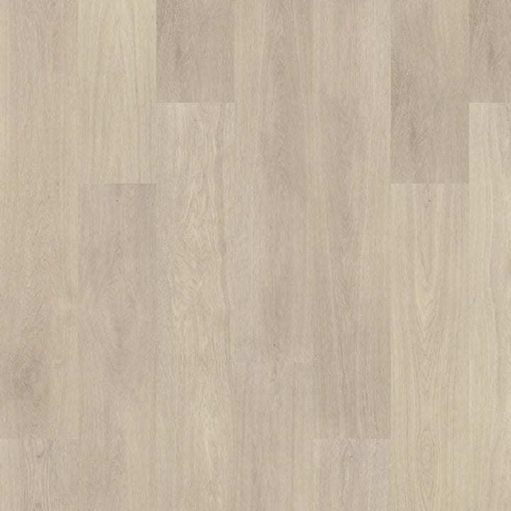PureTech Premier   Serie  (DAT)