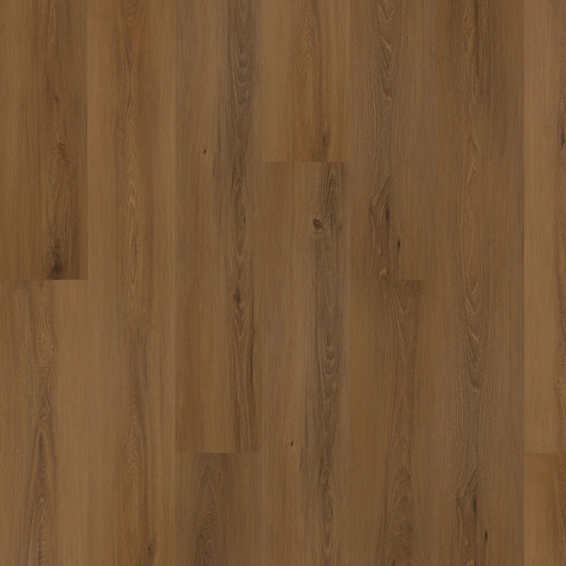 SolidTech Plus   Serie  (DAT)