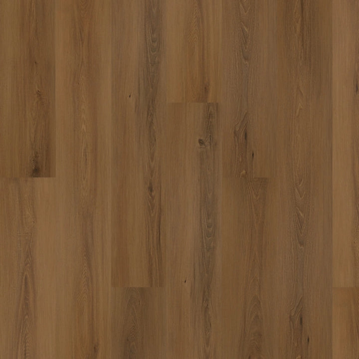SolidTech Plus   Serie  (DAT)