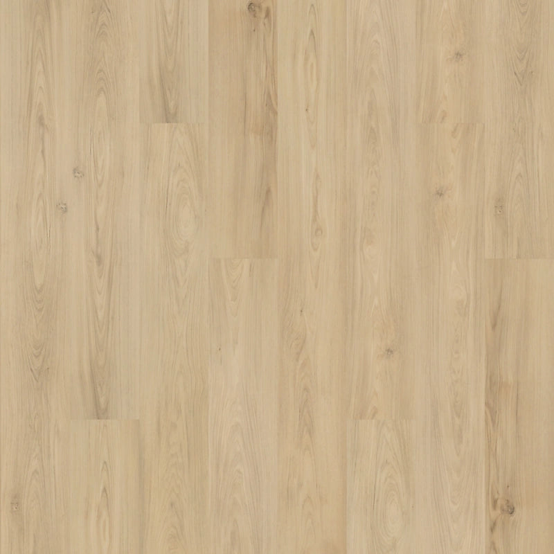 SolidTech Plus   Serie  (DAT)