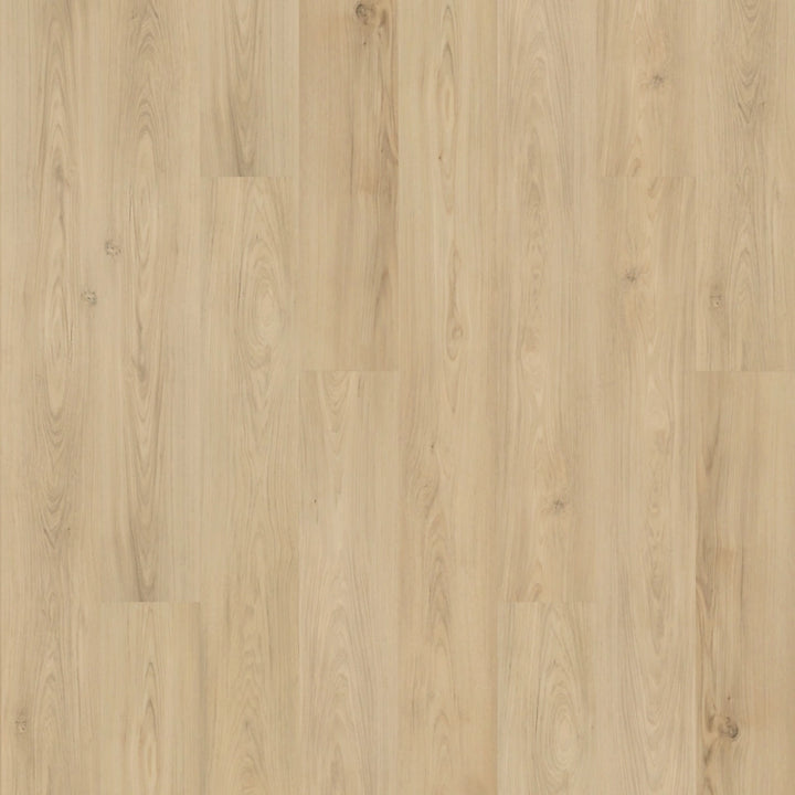 SolidTech Plus   Serie  (DAT)