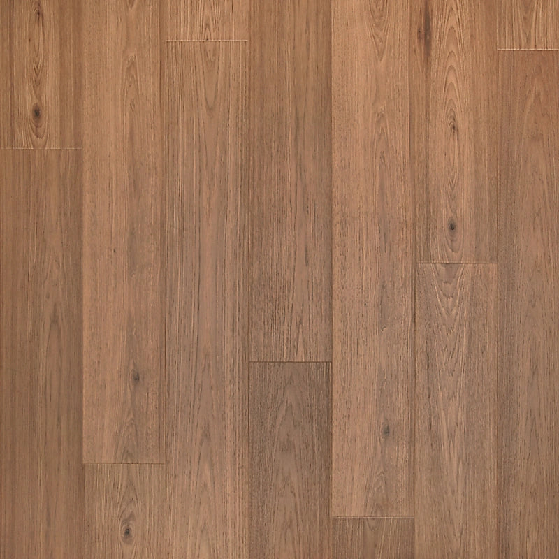 PureTech Premier   Serie  (DAT)