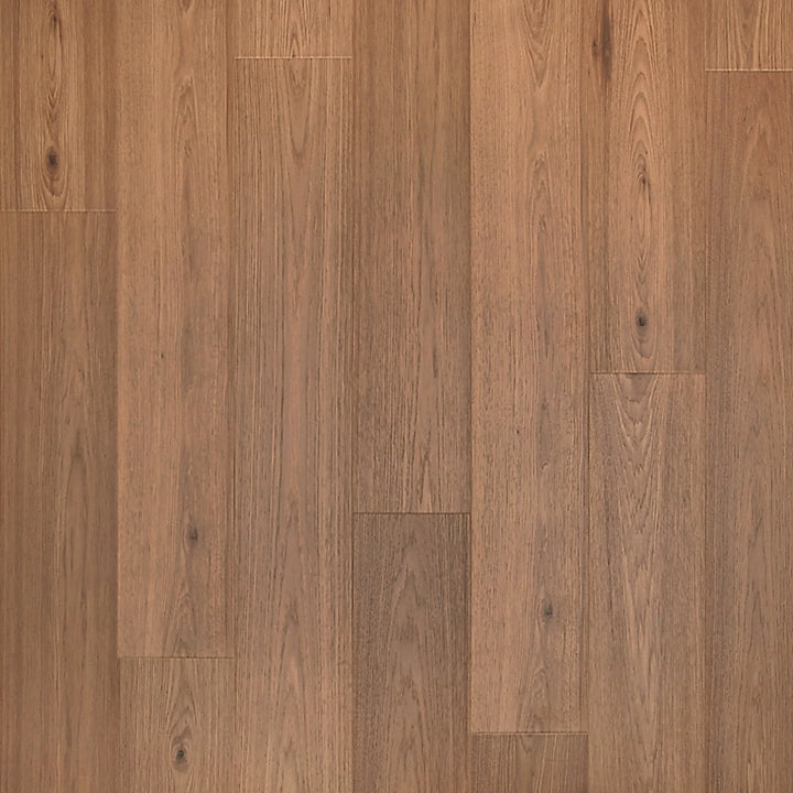 PureTech Premier   Serie  (DAT)
