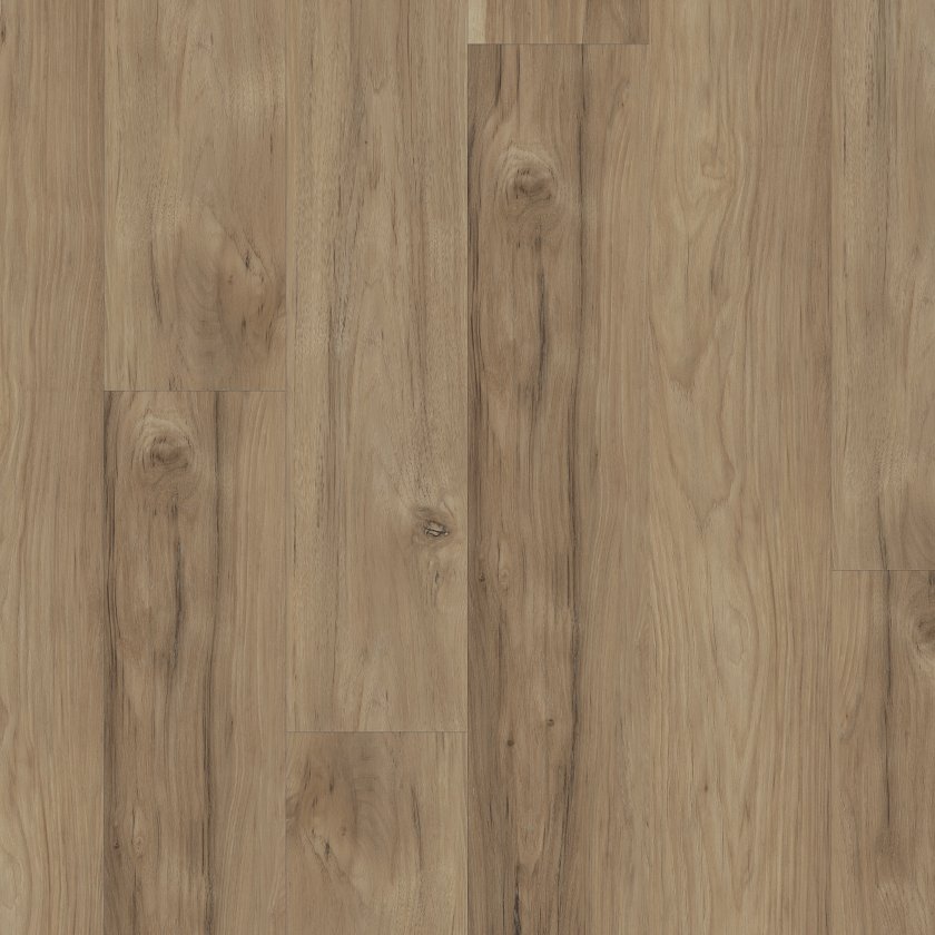 Shawfloors    Ignite    Series  (Shaw)