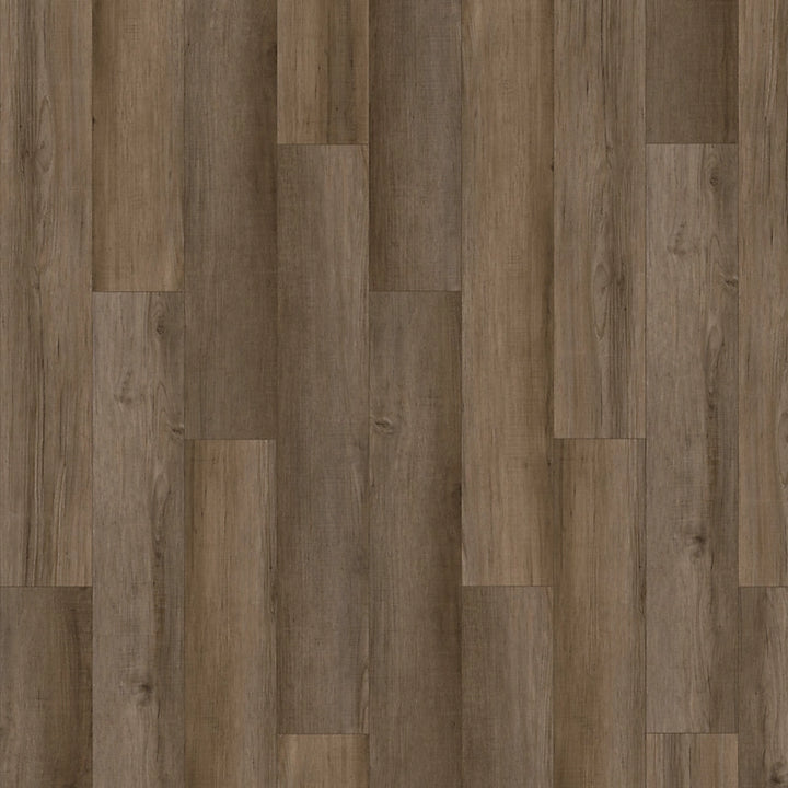 SolidTech Essentials   Serie  (DAT)