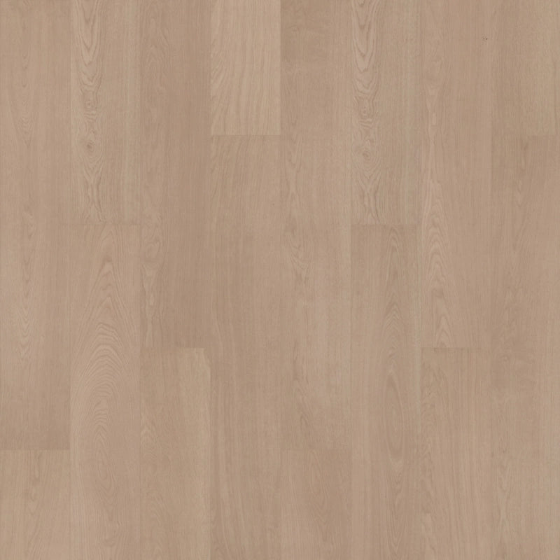 SolidTech R Plus   Serie  (DAT)