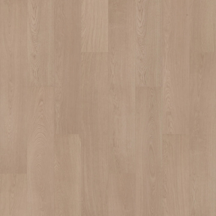 SolidTech R Plus   Serie  (DAT)
