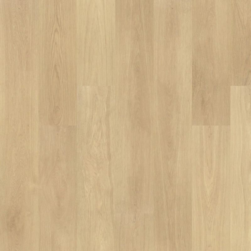 PureTech Premier   Serie  (DAT)