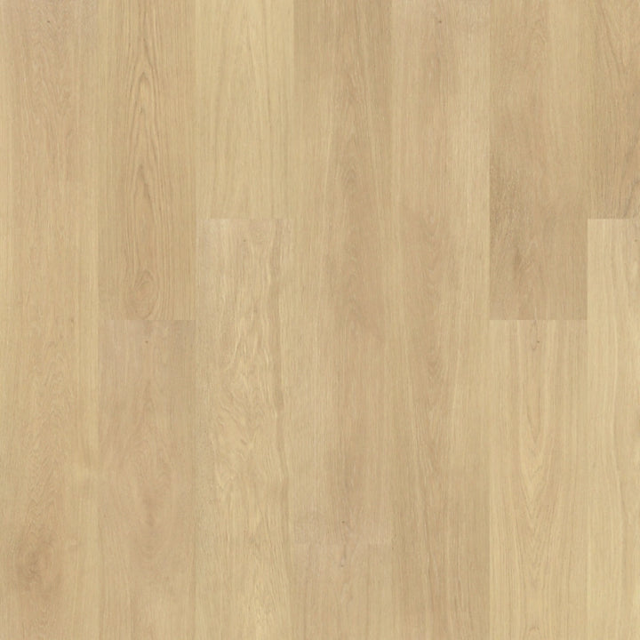 PureTech Premier   Serie  (DAT)