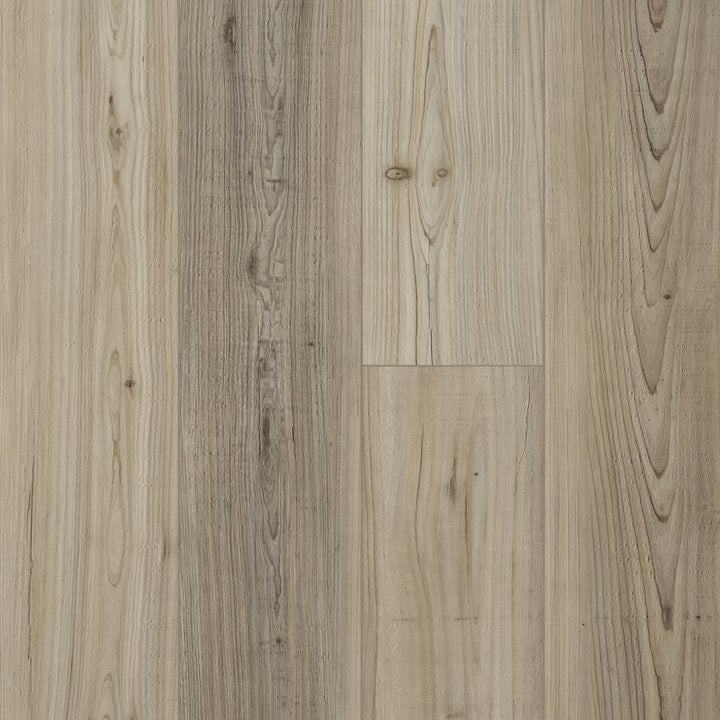 Shawfloors      Distinction Plus       Series  (Shaw)