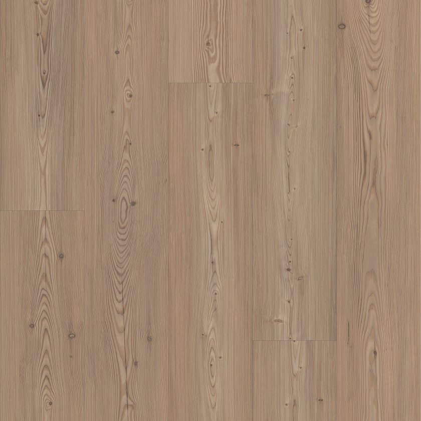 Shawfloors      Ascent Nb     Series  (Shaw)