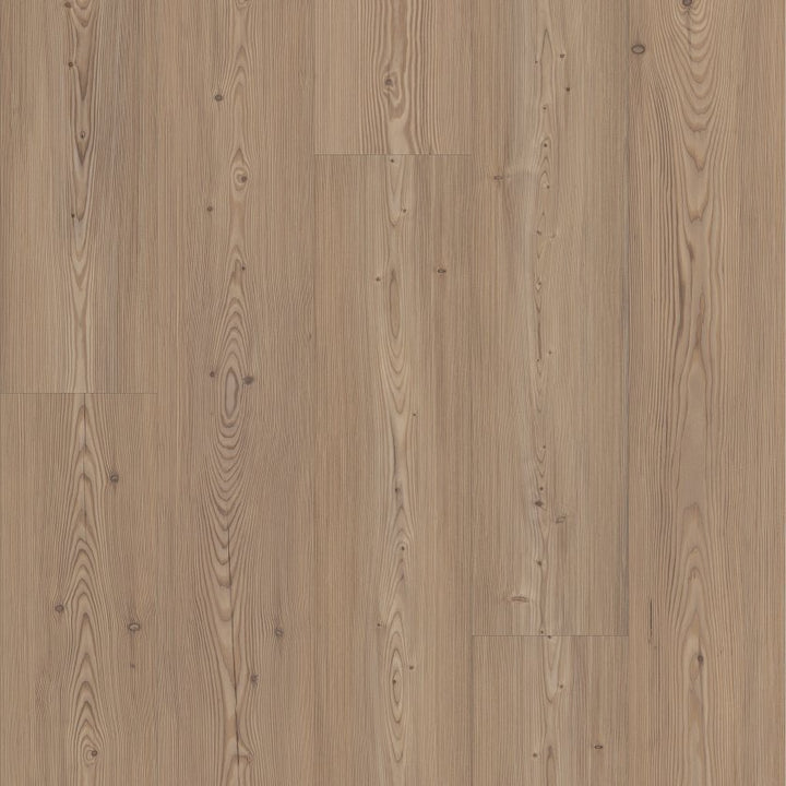 Shawfloors      Ascent Nb     Series  (Shaw)