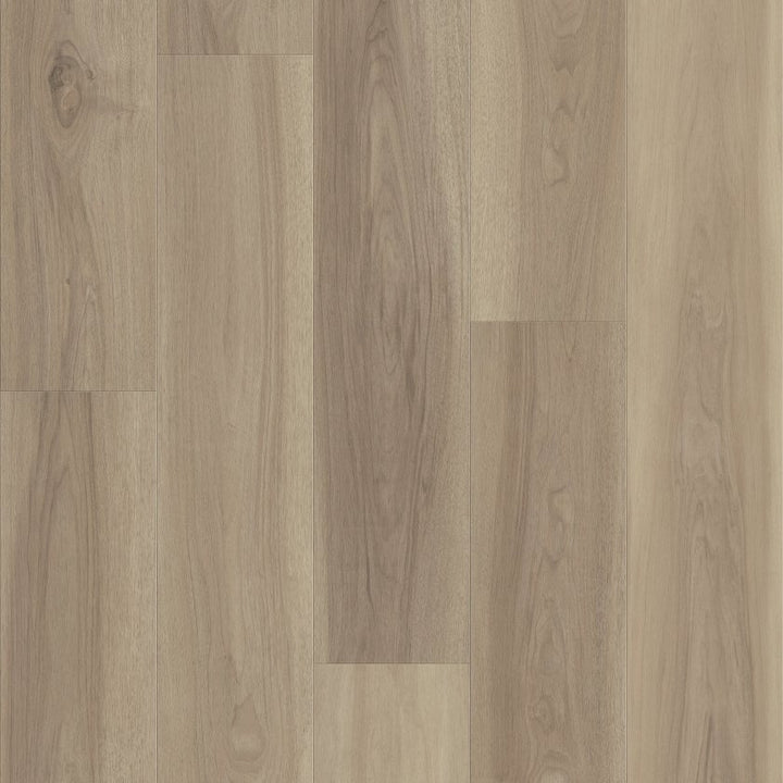 Shawfloors    Fresh Take    Series  (Shaw)